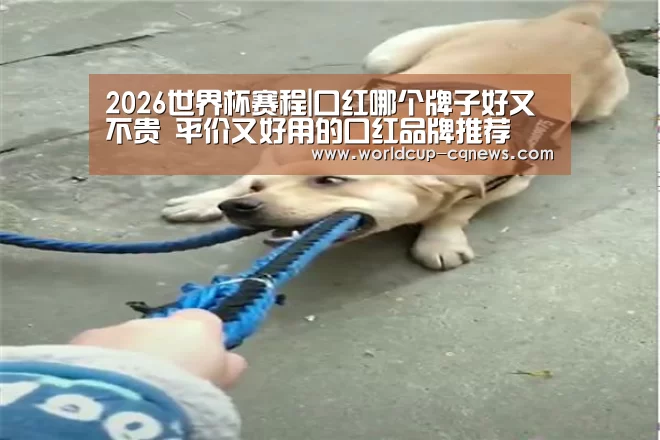 2026世界杯赛程|口红哪个牌子好又不贵 平价又好用的口红品牌推荐(图1) 世界杯直播
