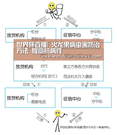世界杯直播