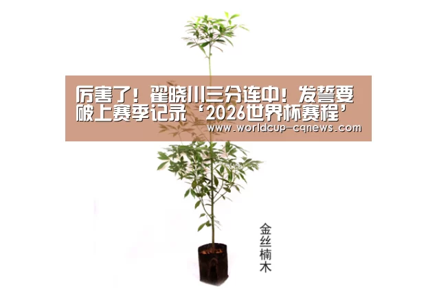 厉害了!翟晓川三分连中!发誓要破上赛季记录‘2026世界杯赛程’(图2) 2026世界杯赛程