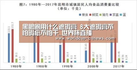 黑眼圈用什么遮瑕膏 8大遮瑕膏不怕瑕疵不怕干_世界杯直播(图1) 世界杯直播